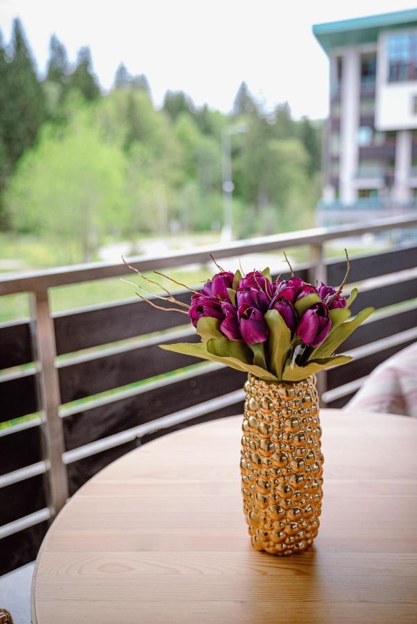 بويانا براسوف Silver Mountain Resort & Spa المظهر الخارجي الصورة